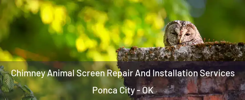  Chimney Animal Screen Repair And Installation Services Ponca City - OK