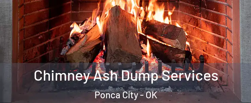  Chimney Ash Dump Services Ponca City - OK