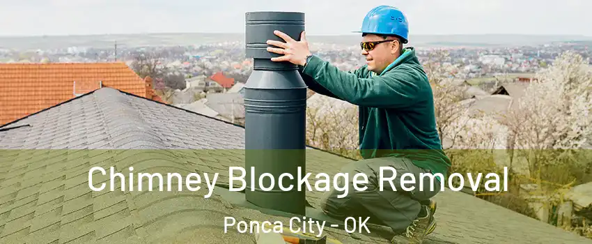  Chimney Blockage Removal Ponca City - OK