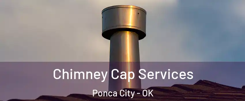  Chimney Cap Services Ponca City - OK