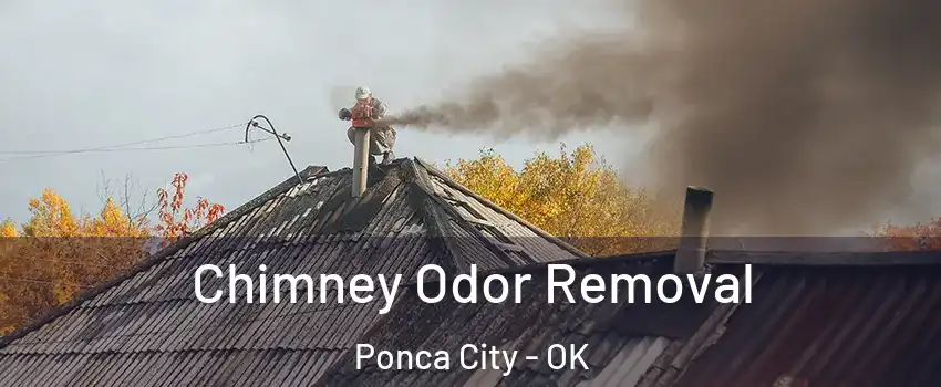  Chimney Odor Removal Ponca City - OK