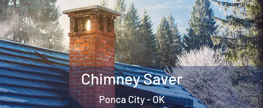  Chimney Saver Ponca City - OK