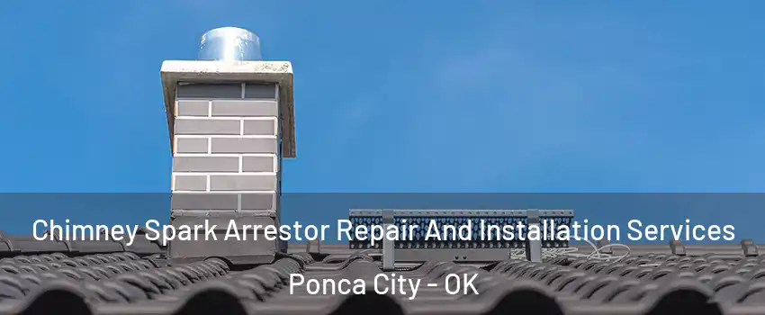  Chimney Spark Arrestor Repair And Installation Services Ponca City - OK