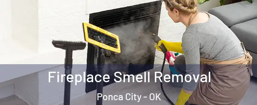  Fireplace Smell Removal Ponca City - OK