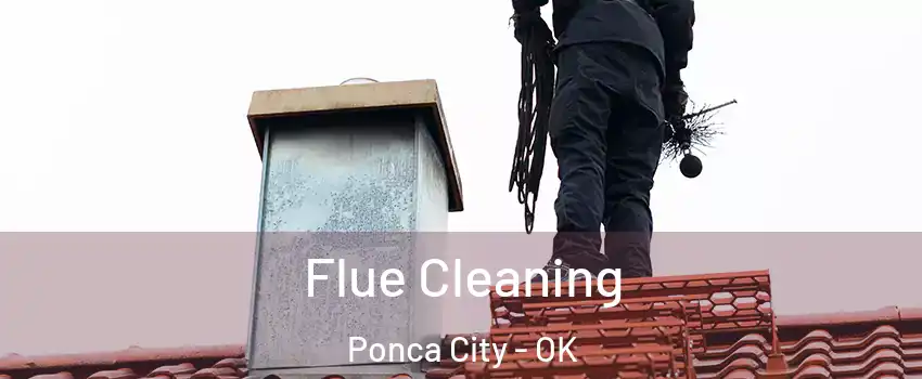  Flue Cleaning Ponca City - OK