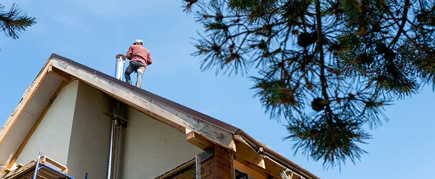 Birds Removal Contractors from Chimney in Ponca City, OK