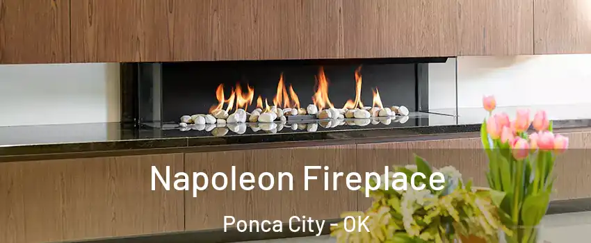  Napoleon Fireplace Ponca City - OK